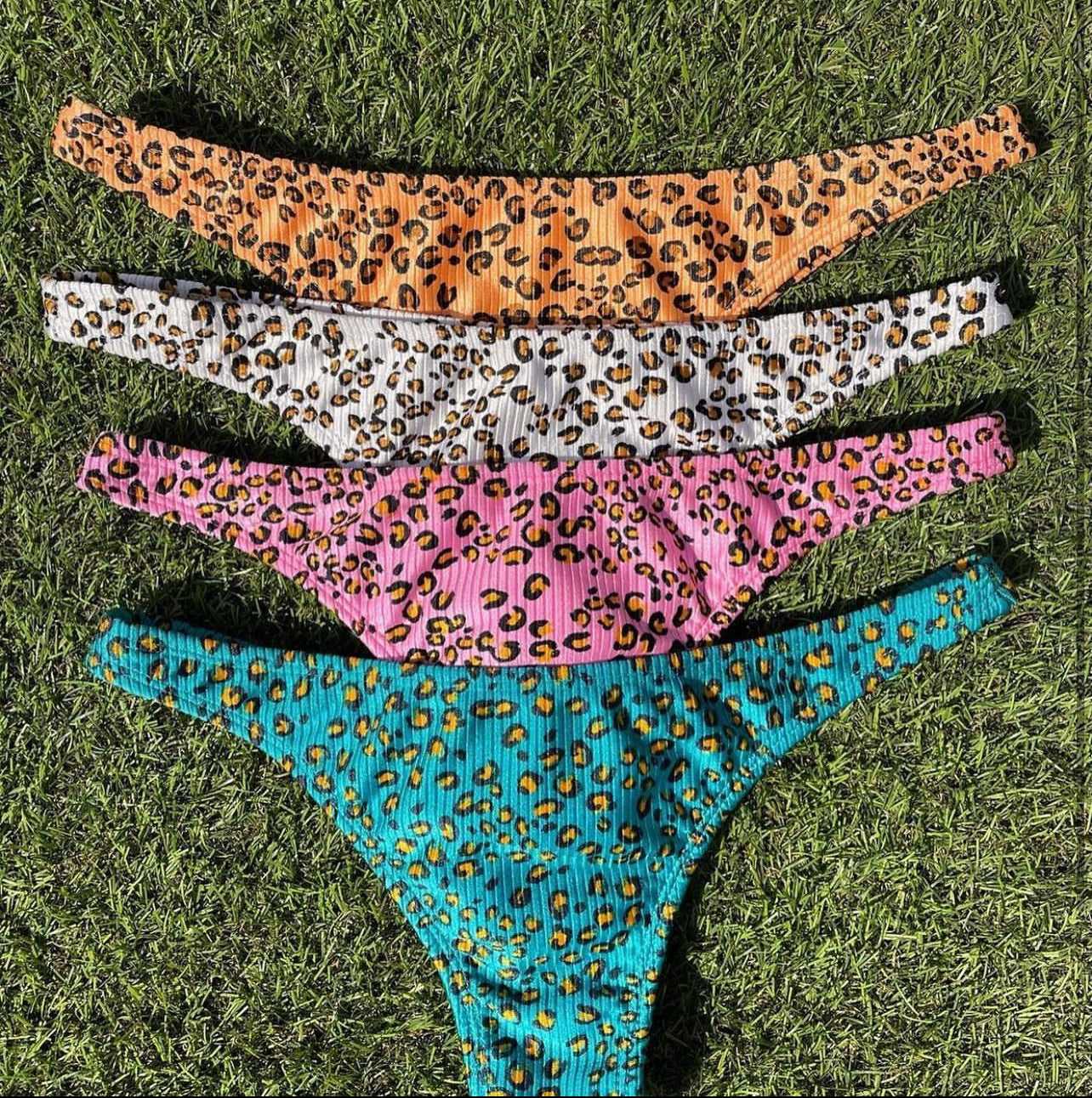 Leopard Annita